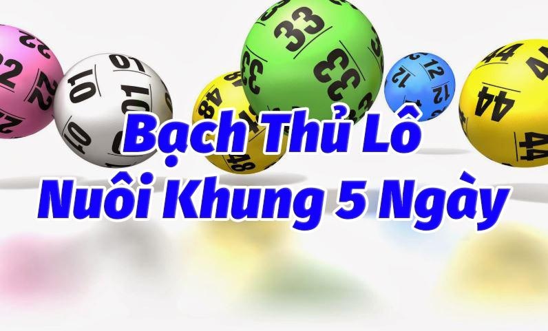 Lo khung 5 ngay - Mẹo nuôi lô bạch thủ khung 5 ngày chuẩn xác