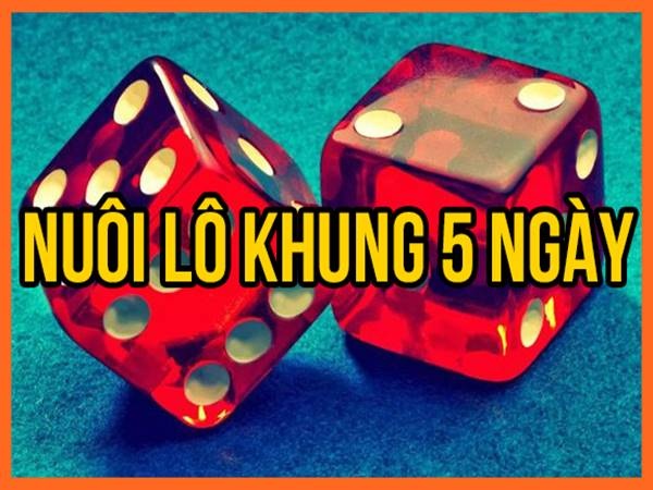 Nuoi khung 5 ngay bí quyết nuôi đạt tỷ lệ chính xác cao