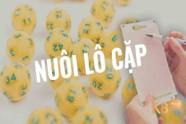 cách vào tiền nuôi lô cặp