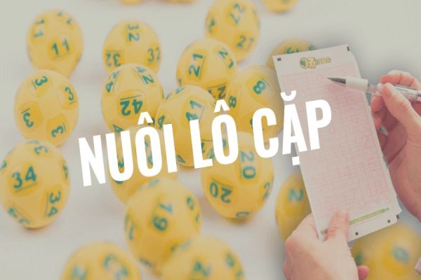 Cách vào tiền nuôi lô cặp 5 ngày đem về lãi cực kỳ khủng