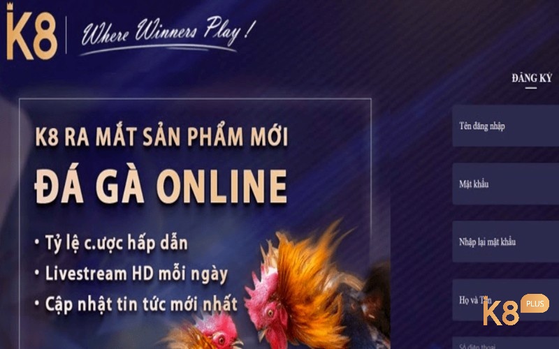 Hình thức chơi mới đầy hấp dẫn của K8