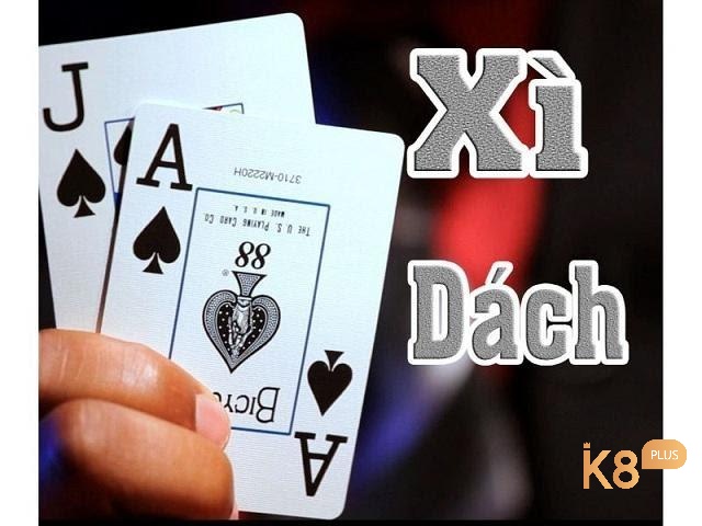 Xì dách là gì? Ngũ linh có ăn được xì dách hay không?