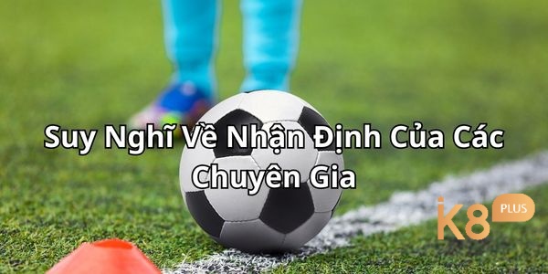 Suy Nghĩ Về Nhận Định Của Các Chuyên Gia