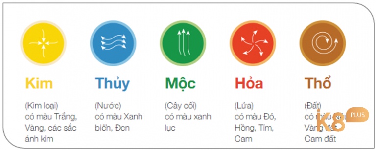 Xem gà que mạng gì dựa vào bảng ngũ hành phong thuỷ