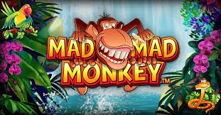 Mad Mad Monkey Slot: Slot game về chủ đề rừng rậm đầy thú vị