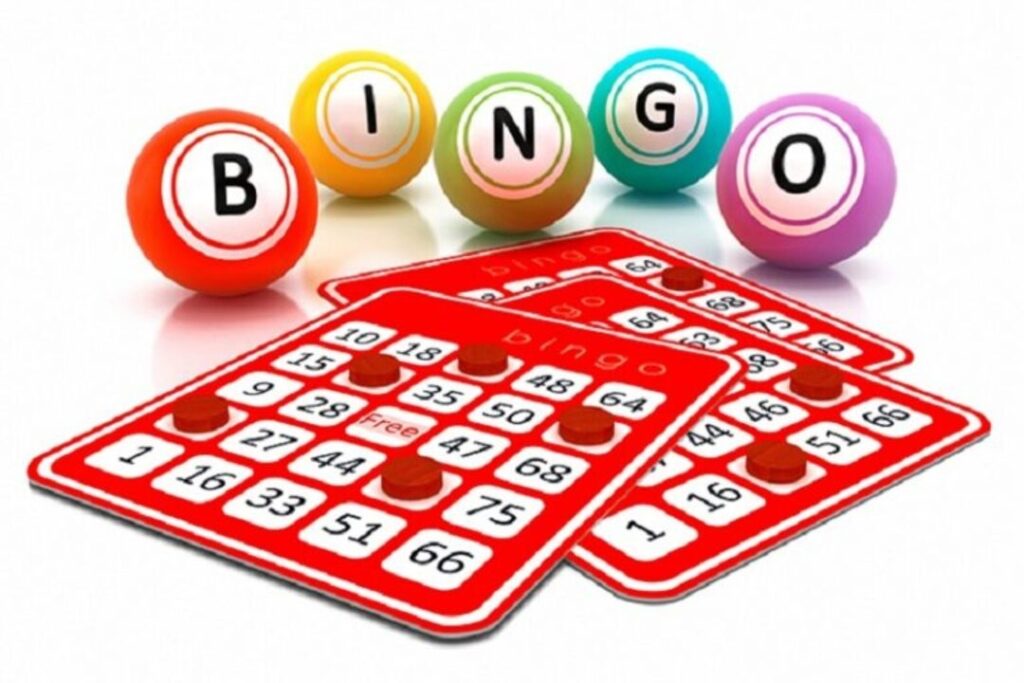 Bingo là gì: Khám phá thế giới bingo đa dạng và đầy thú vị