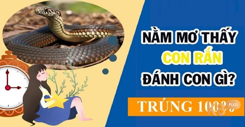 Khám phá chi tiết về những con số may mắn qua giấc mơ chiêm bao thấy rắn to