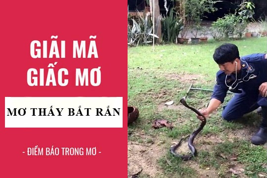 Chiêm bao thấy bắt rắn là điềm báo về điều gì? Con số liên quan