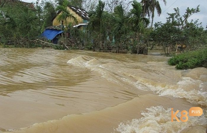 Chiêm bao thấy nước ngập có dự báo tùy vào tình tiết mơ 