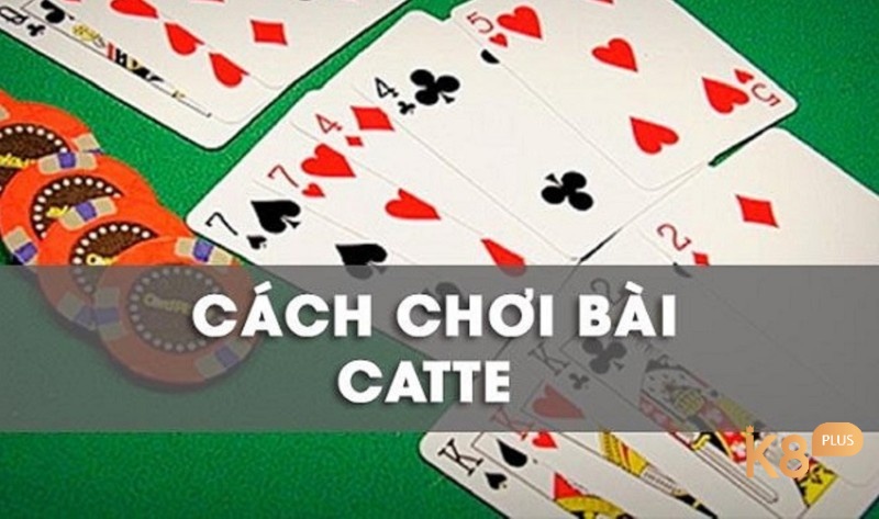 Thuật ngữ bài Catte - Luật chơi bài catte như thế nào?