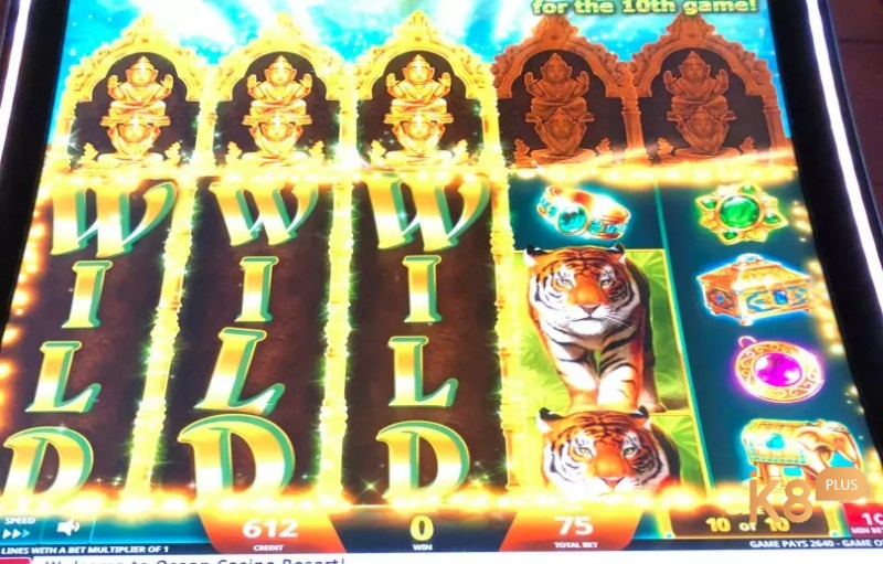 Cách chơi tựa game Golden Jungle với các tùy chọn chơi được sắp xếp gọn gàng