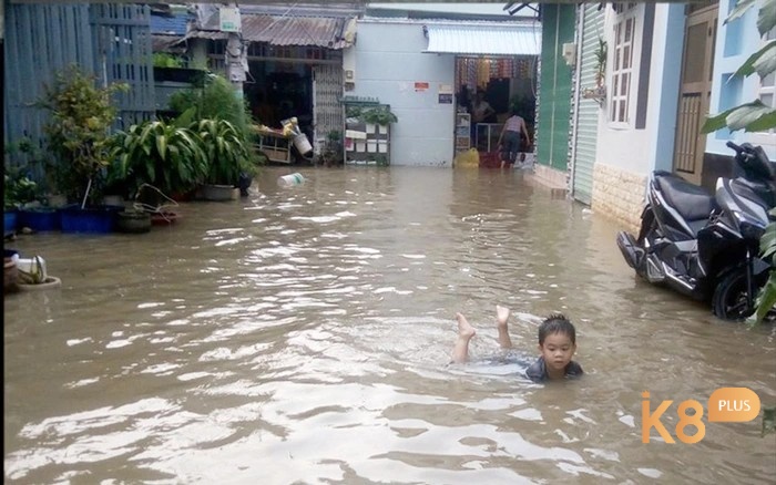 Mộng thấy nước tràn vào nhà dự báo về tương lai 