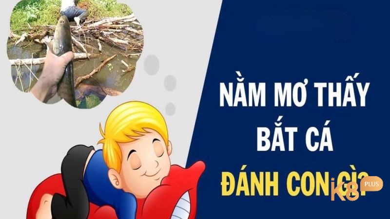 Mộng thấy bắt cá đánh số gì dễ trúng