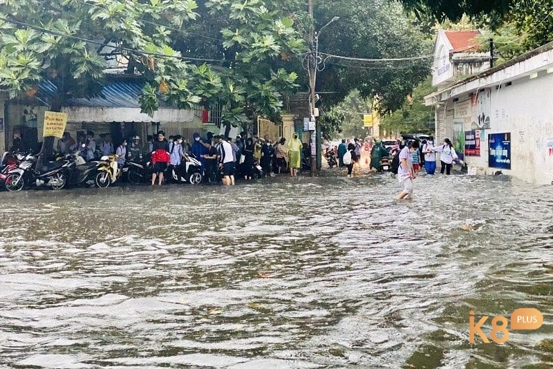 Giấc mơ mang lại nhiều dự báo tương lai không ngờ tới 