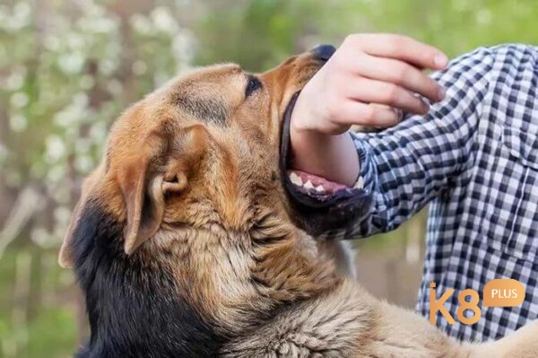 Điềm báo phụ thuộc vào tình tiết mơ cụ thể 