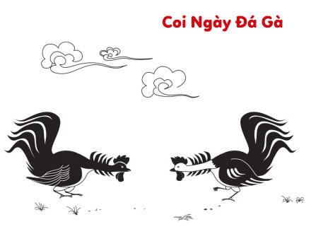 Xem ngày gà đá: Hướng dẫn đầy đủ từ A-Z cho người mới